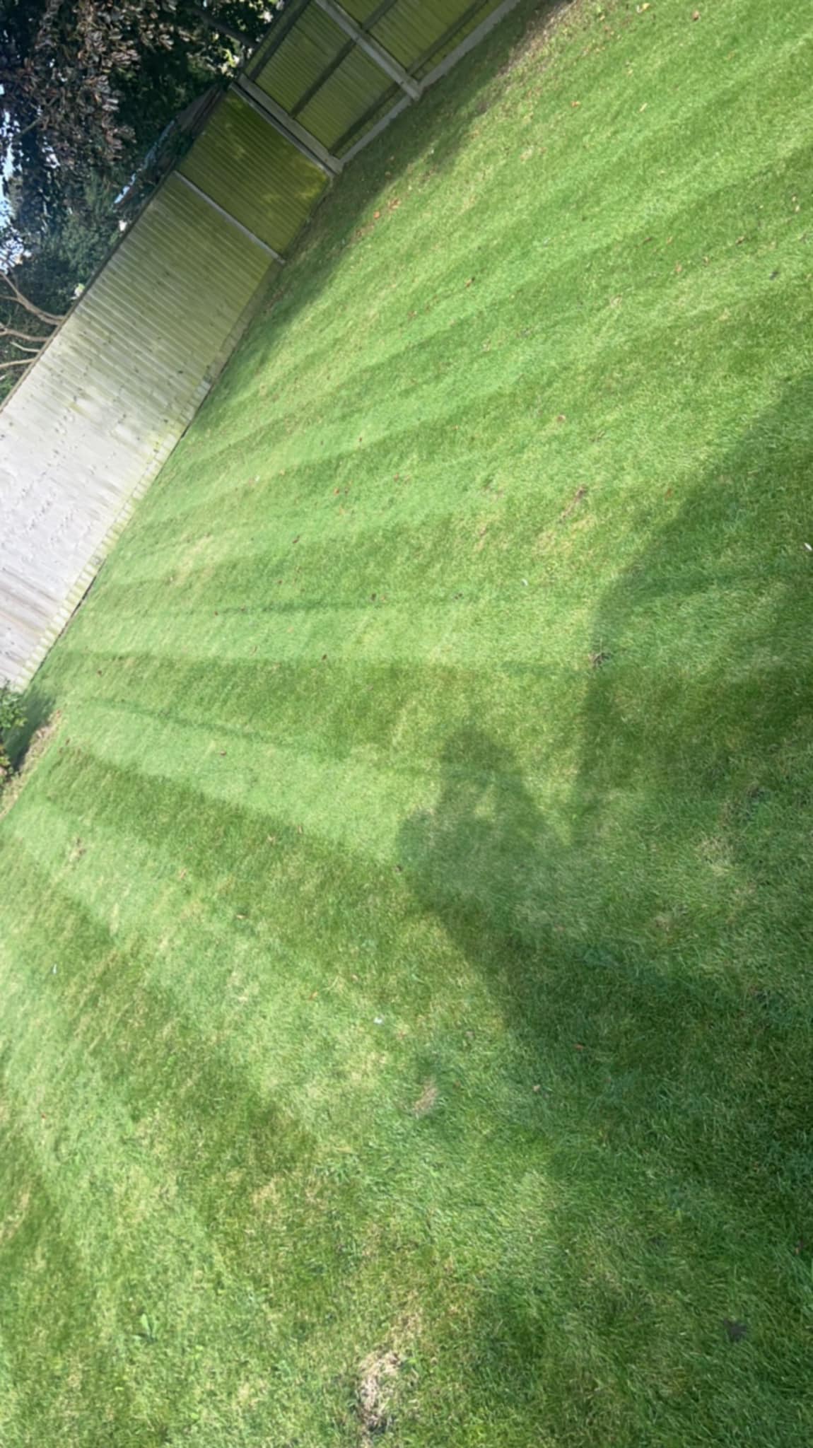 Garden Maintenance