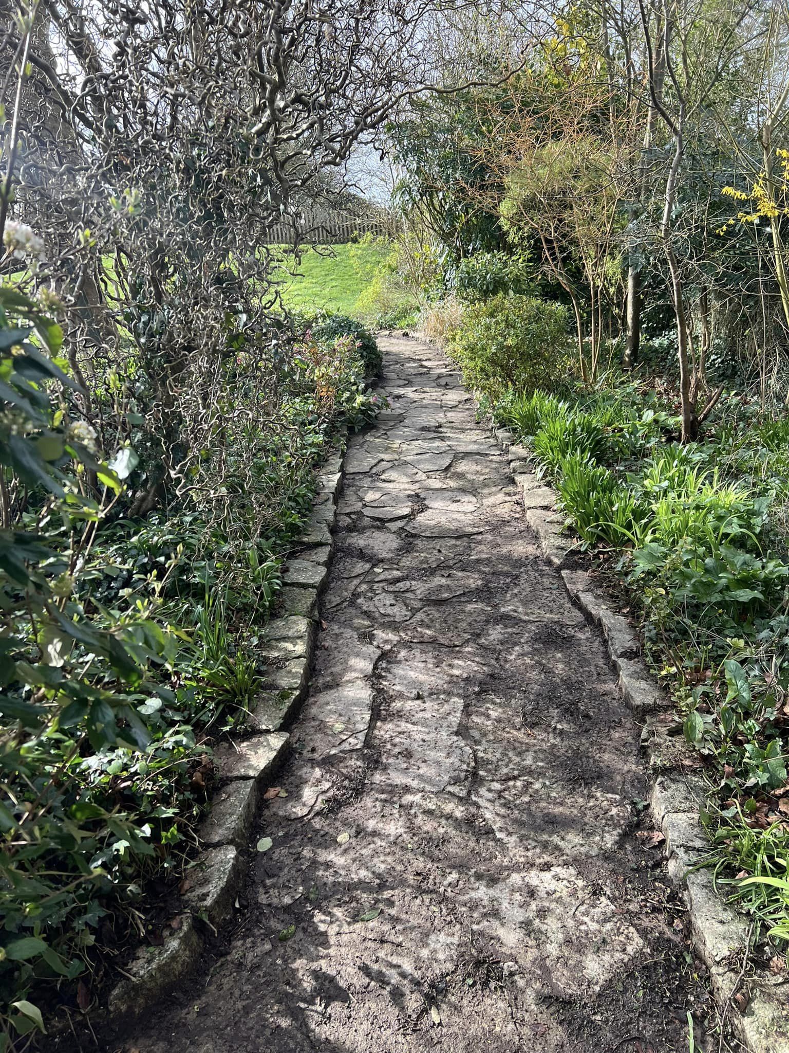 Garden Maintenance